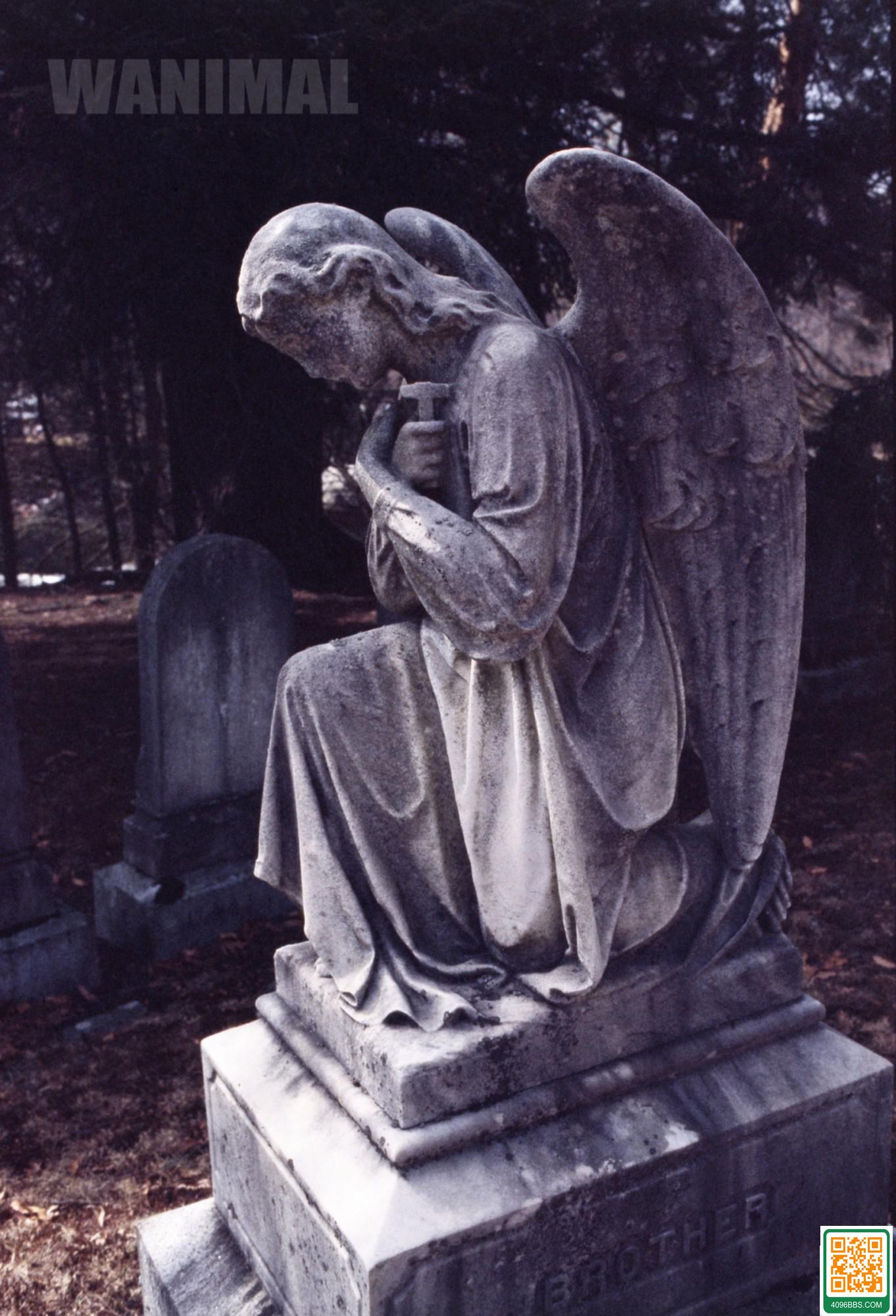 【王動作品】2014年作品集 (146P)